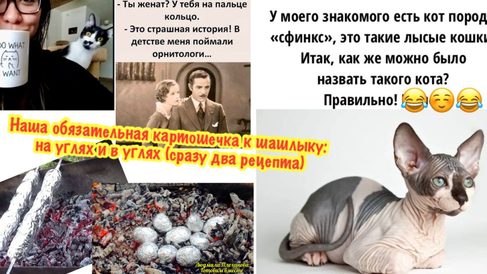 ��� ����������� ��������� �������� �� �����: ������� � �������