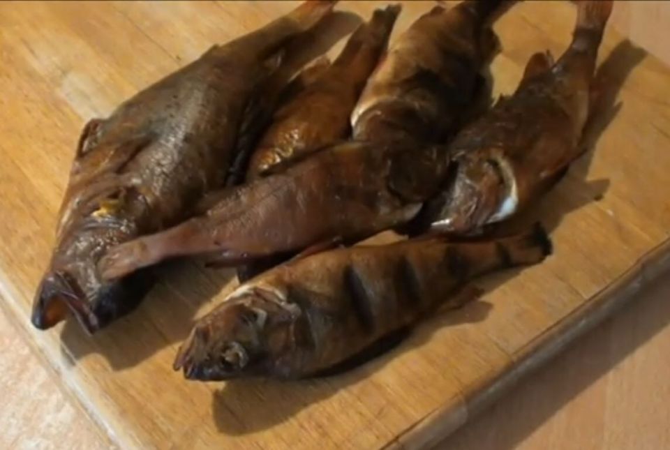 ���������� ����� ������ �� ����� �� �������� ����