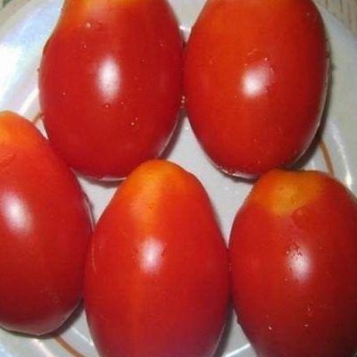 ����� ��������: ��������� ���� ��� ����������� ������ � ����� ��������