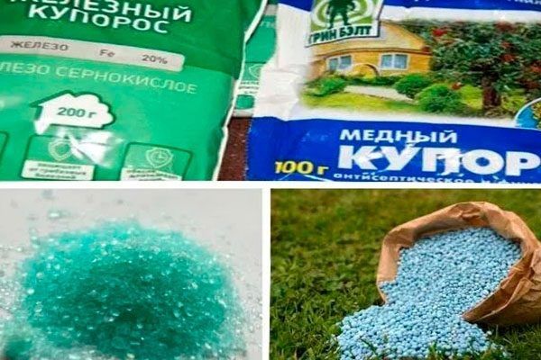 ������� ��������� ����� �� ��������: �������� ��� ������ �������?