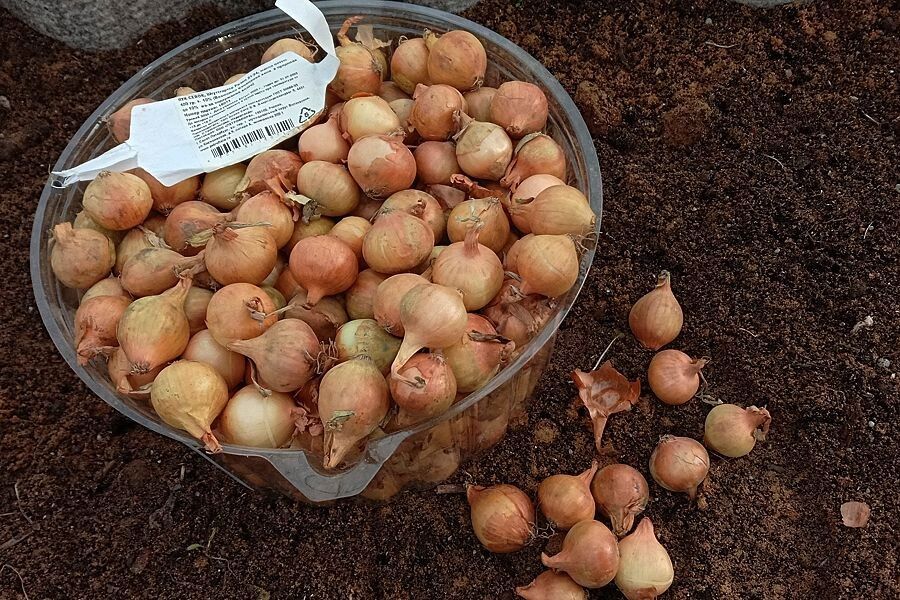 ��� ��������� �������� ��� ��� ����: ������ � ������� ������