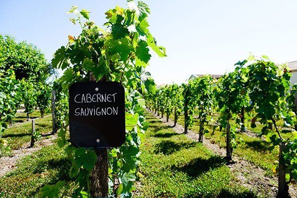 ������� ��������: ��������, ������� ����������� �������� ����!