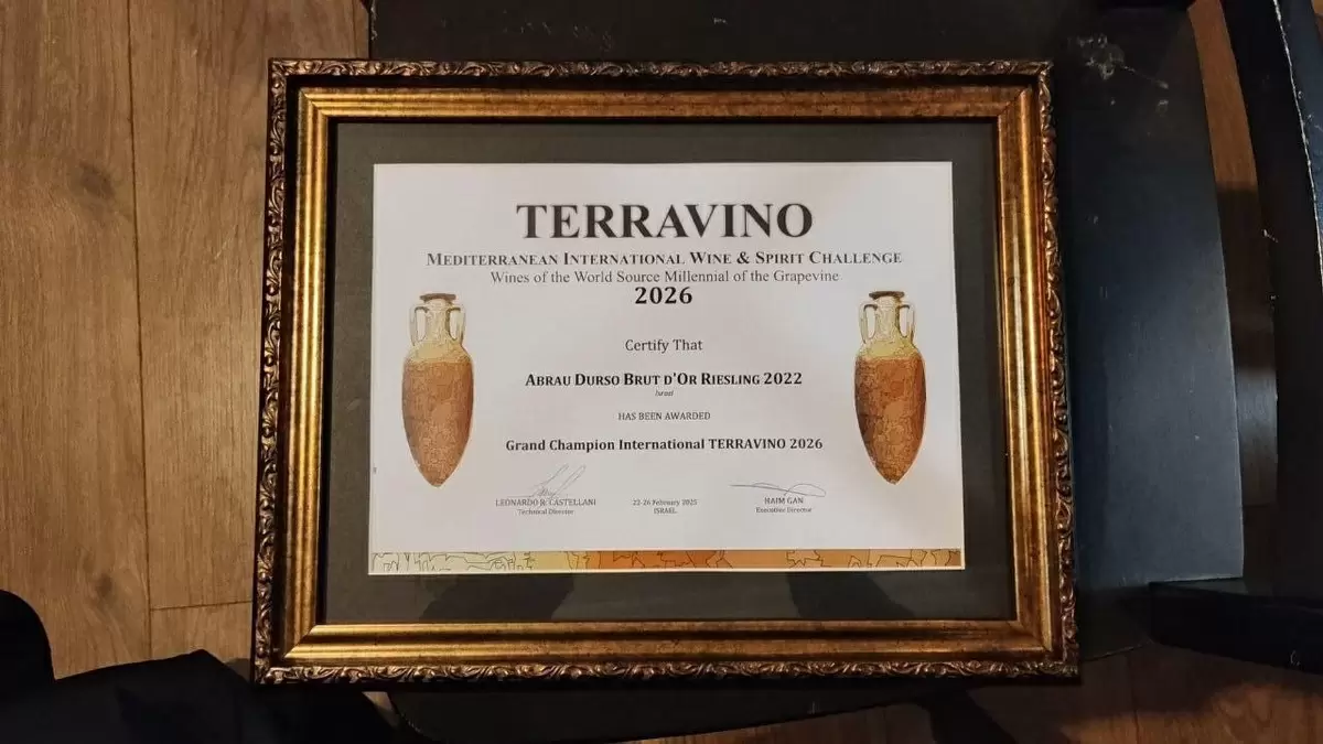 Вино, радость и флешмоб: чем живет Тель-Авив в ретро-виктории