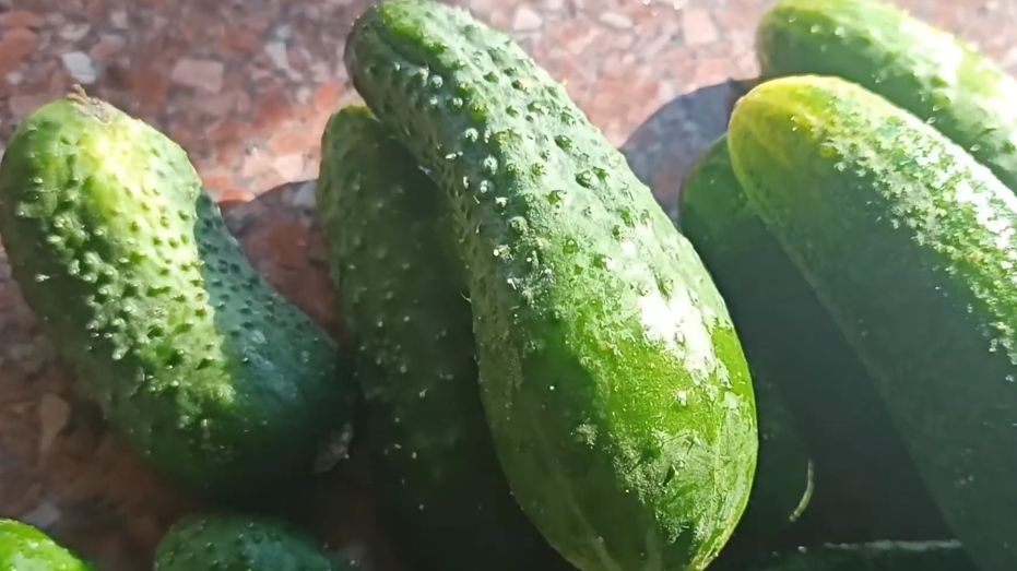 ��� ��������� ������: ������� ����������� �����, ������� ������� ��� ������ � �������� ������