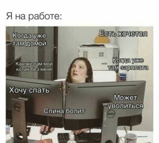 ������ ����). 13 ������ �� ����������: ���������� ����������, ���� �� �������� ������� ������� ��������� ������ ���� � ����