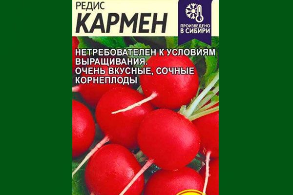 ����� ������: ������������ ������������ ������ �������