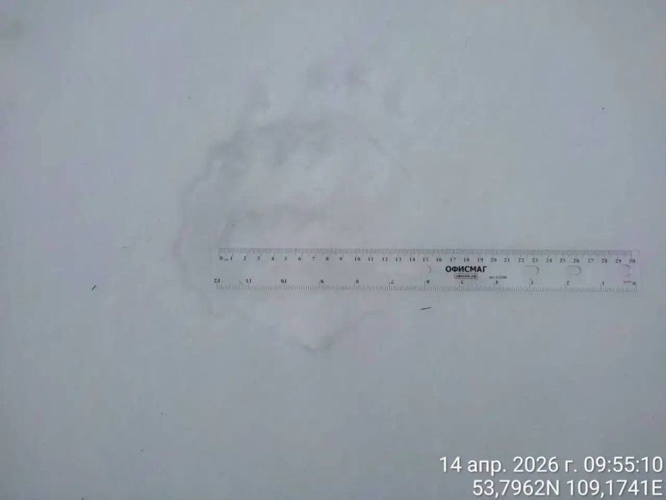 �� ������� �� ������ ������ �������� ����� �������