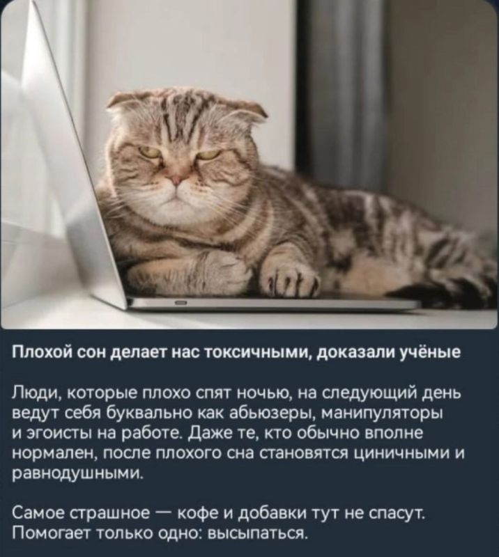 ������ ����! ��� ������ ��� �����������?)