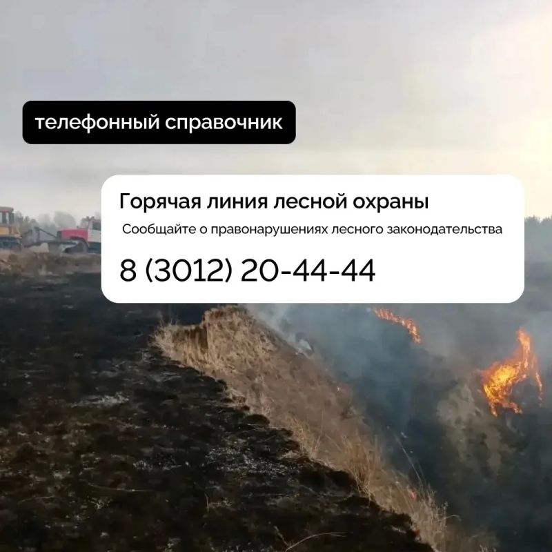 � ������� ����������� ������ ���������� � �������������� ������