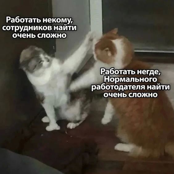 ������������� ������� �������� ������� � ����-���