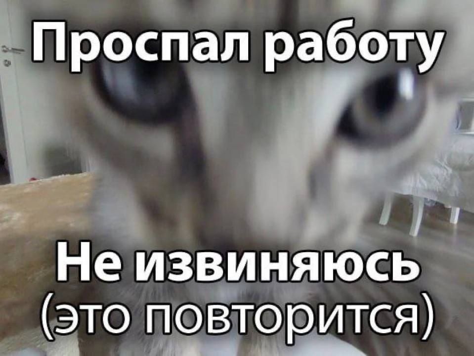 ������ ����! ����� - ������� ����, ����� ��������� ����� �� �������)