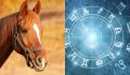 Знаки Зодиака и их лошадиные двойники