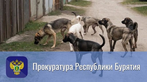 По иску прокуратуры суд взыскал компенсацию морального вреда в пользу детей, укушенных собакой