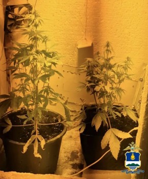 ������ �. ��������������� ��������� � ��������� ��������������� �� �����������������