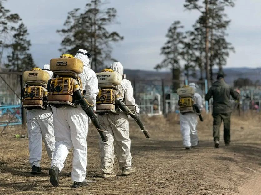 � ����-��� �������� � ������� �������� � ��������