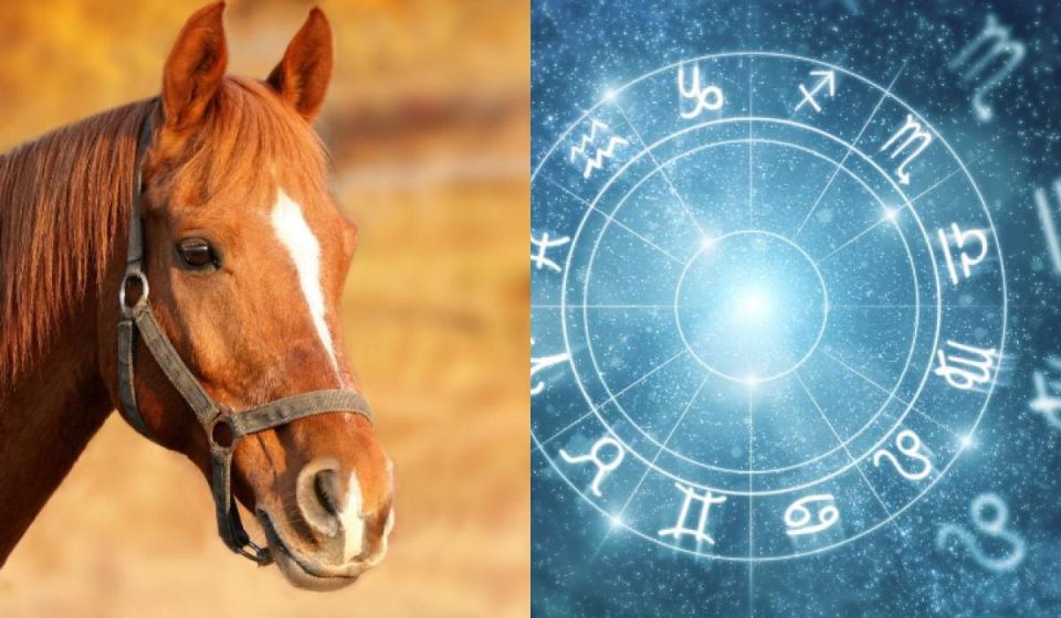 ����� ������� � �� ��������� ��������