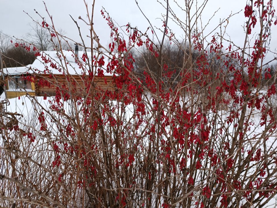 ����������� ��� � �����: ������� ������ ����� ��� ���������