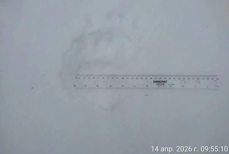 ���������� ��������� ������� � �������� �������