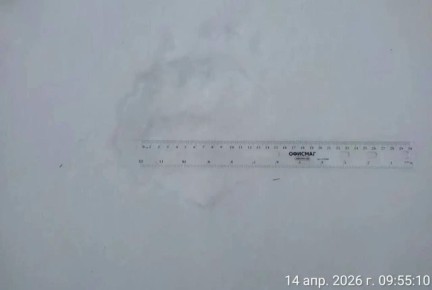 ���������� ��������� ������� � �������� �������