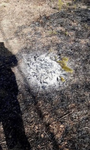 ���� �������� ������������� ����������� �����