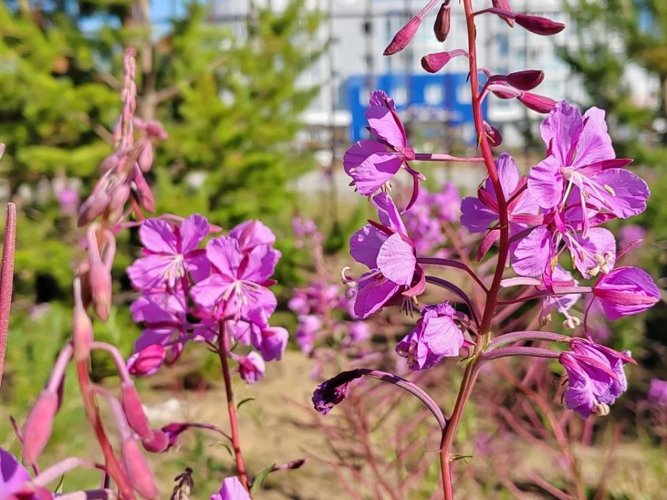 "�� ���� ��, � �������" ����