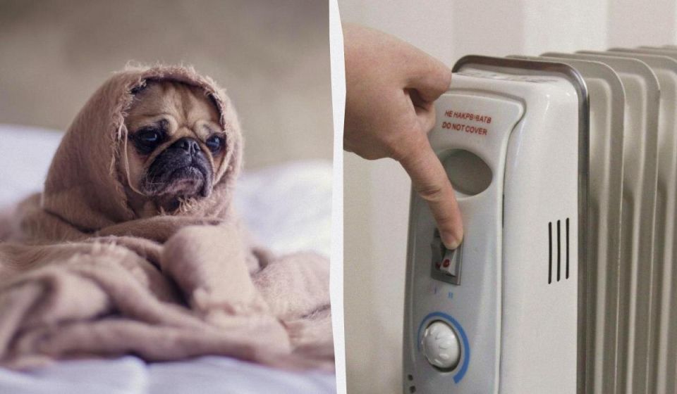 9 ����, ��� ������ ������� ������������, � ��� ������