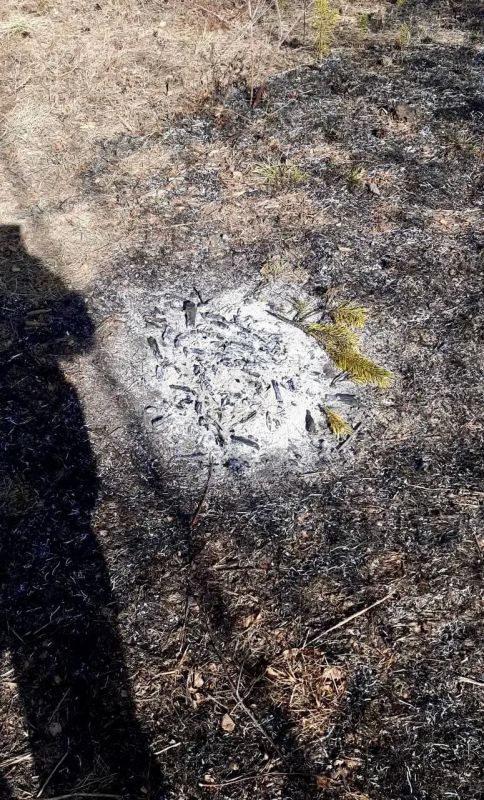 ���� � ���� ����� � ������� ������ � ��������� ������