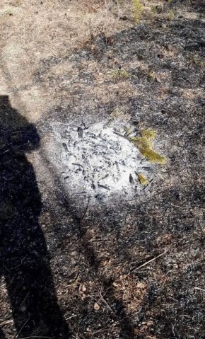 Обед в поле привёл к лесному пожару в Бичурском районе