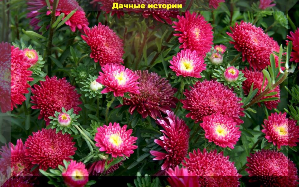 ����� � ������: ������ �������� ��� ����������� ������