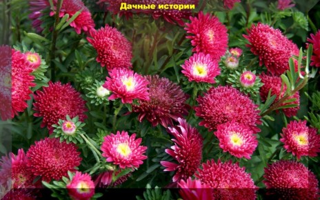 ����� � ������: ������ �������� ��� ����������� ������