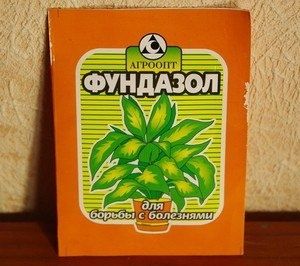 ��������: ������� ���������� � ����������� ����������� ���������