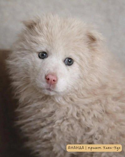 ������ �� ����-���, �������� � ����� ����� �� ����, ����� �����