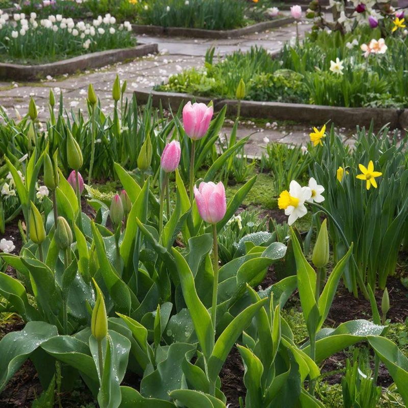 ����� ��������� �����������: ������ �������� ��� ������ �������