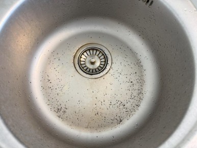 ������ ������� � �� ������ �������� � ������ � ��������?