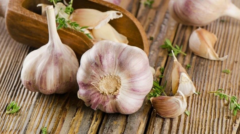 ������: ���������� ��� �������