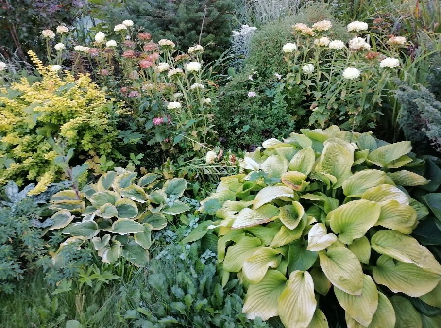 ������� ���� �� �����: �������� ����� ��������� ����� �����