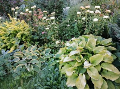 ������� ���� �� �����: �������� ����� ��������� ����� �����