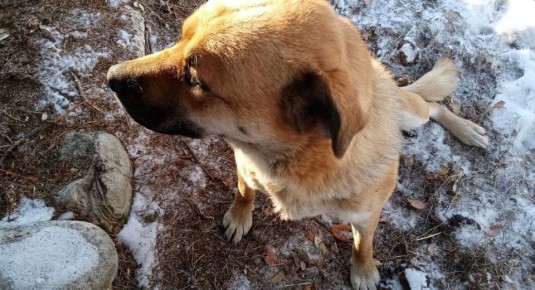 ���������� �������� � ����-��� ���������� ������� ��������� ����������� � 100 ����� ������