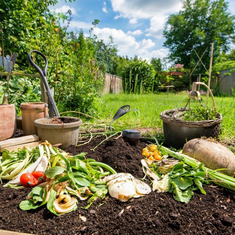 ��� ������� ��������� �������: ������� ��������� ����������� ������