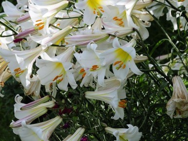 ��� ��������� �������� ����� ����� ��������: ������ ��� ��������� ������