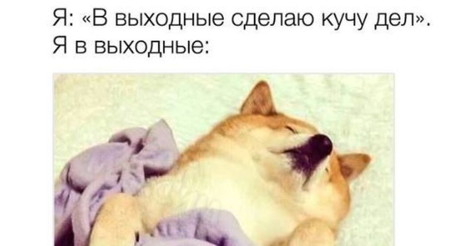 ������ ���� � ��������� �����������, ������� ������ �������! ������� � ���������� ��������� �������� ������