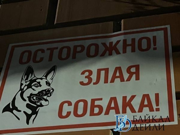 � ����-��� ������������ �� ������ ������� �������� 100 �����