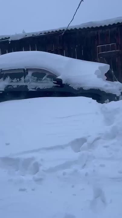 ������� ����������� � ���������