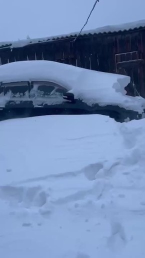 ������� ����������� � ���������