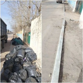 ����� 450 ���������� ������ �������� � ��������� �����������