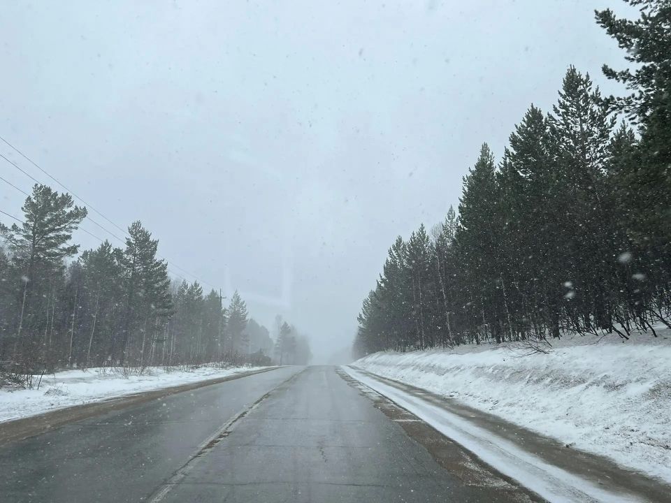 ���� ������ �������� ����� � �������