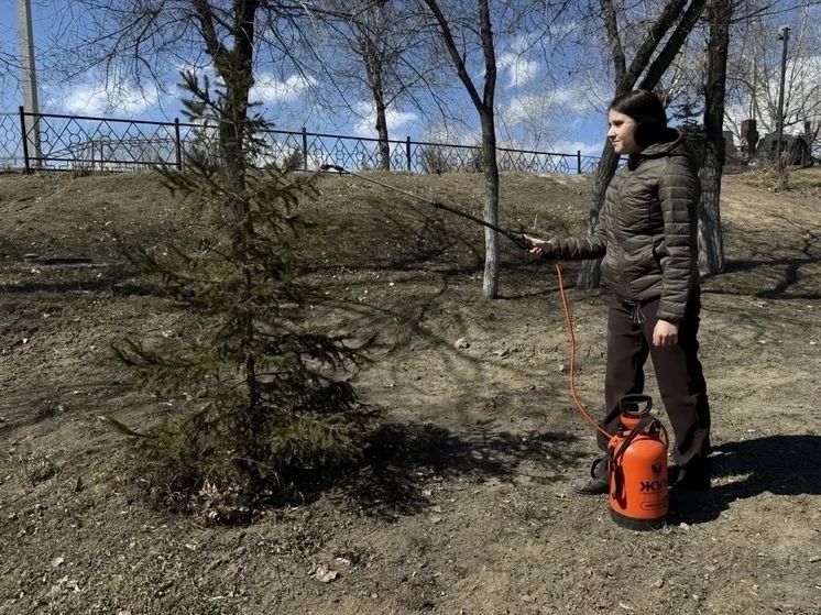 � ����-��� �������� ����� 40 ������������ ����������