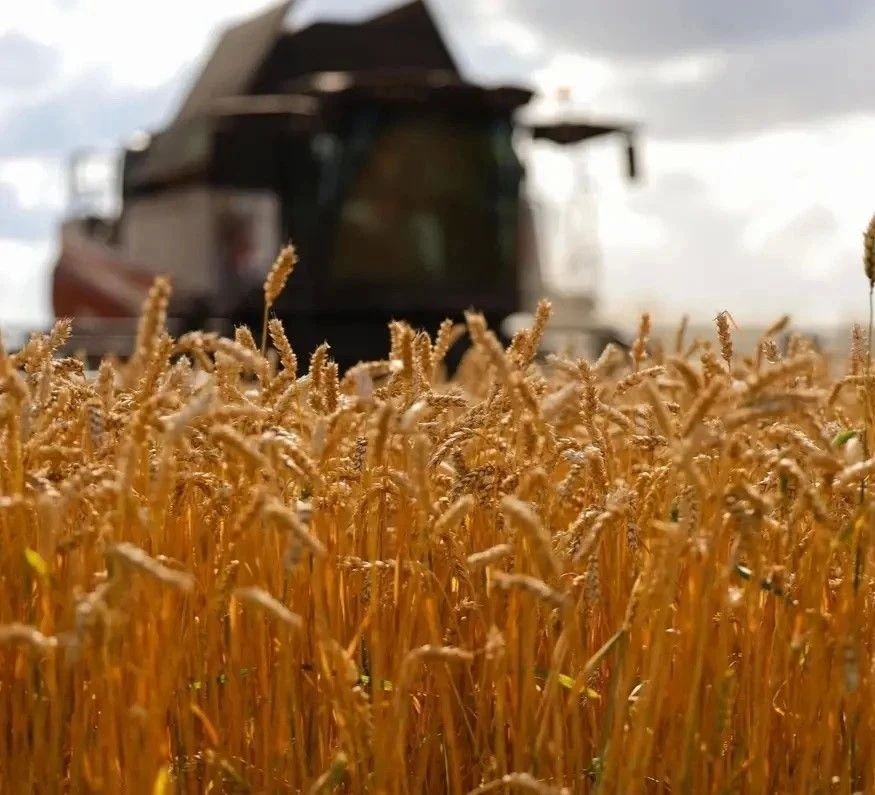 ��������-��������� ������������� �������� ���������� ��������� ��� �������� �������