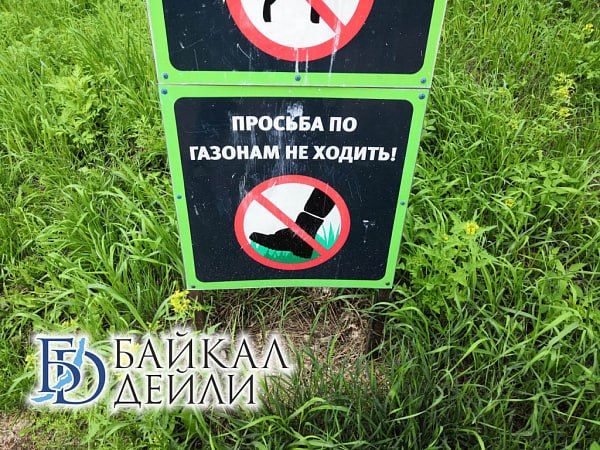 ����-������ �������� �������� ����� ����������� �� ������