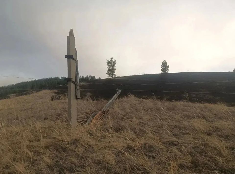 �� ���� ��������� � ������� ����������� �������� ������� �� ������� ������������ ������